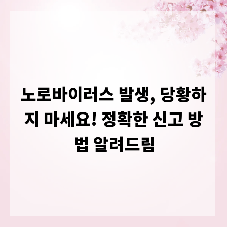 노로바이러스 발생, 당황하지 마세요! 정확한 신고 방법 알려드림