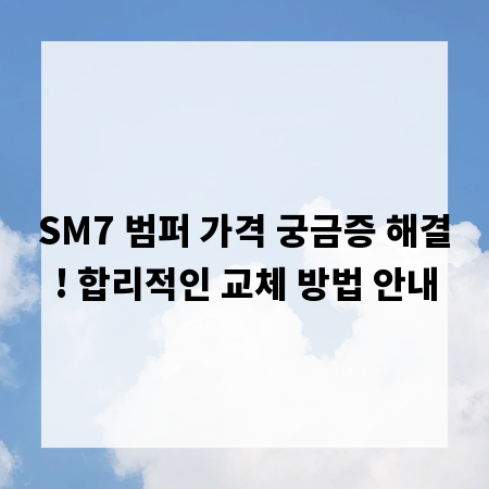 SM7 범퍼 가격 궁금증 해결! 합리적인 교체 방법 안내