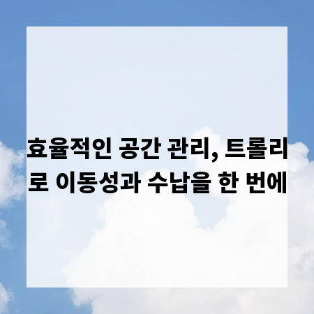 효율적인 공간 관리, 트롤리로 이동성과 수납을 한 번에