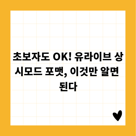 초보자도 OK! 유라이브 상시모드 포맷, 이것만 알면 된다