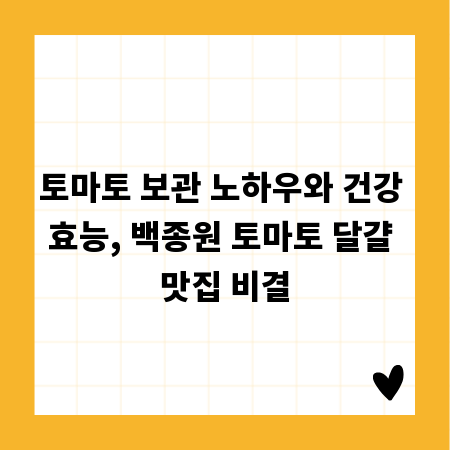 토마토 보관 노하우와 건강 효능, 백종원 토마토 달걀 맛집 비결