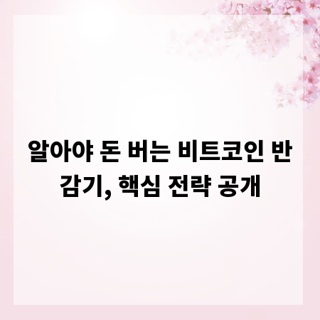 알아야 돈 버는 비트코인 반감기, 핵심 전략 공개