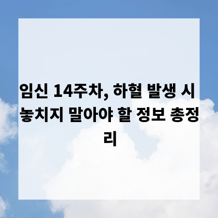 임신 14주차, 하혈 발생 시 놓치지 말아야 할 정보 총정리