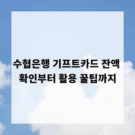수협은행 기프트카드 잔액 확인부터 활용 꿀팁까지