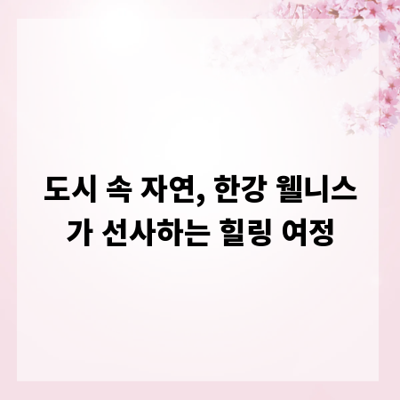 도시 속 자연, 한강 웰니스가 선사하는 힐링 여정