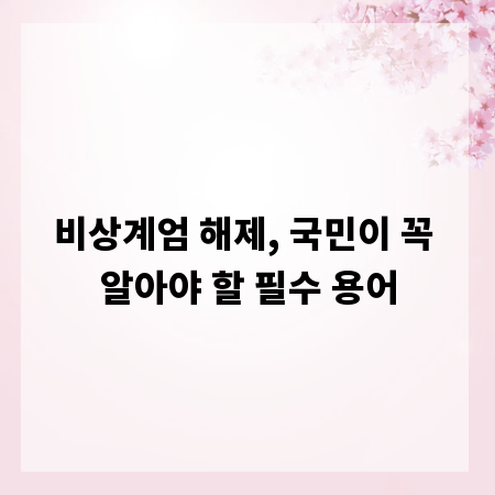 비상계엄 해제, 국민이 꼭 알아야 할 필수 용어