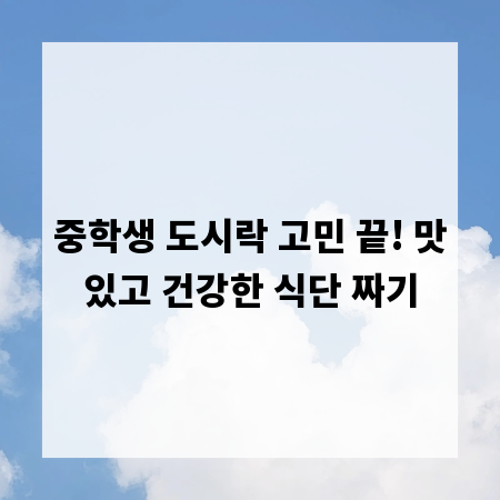중학생 도시락 고민 끝! 맛있고 건강한 식단 짜기