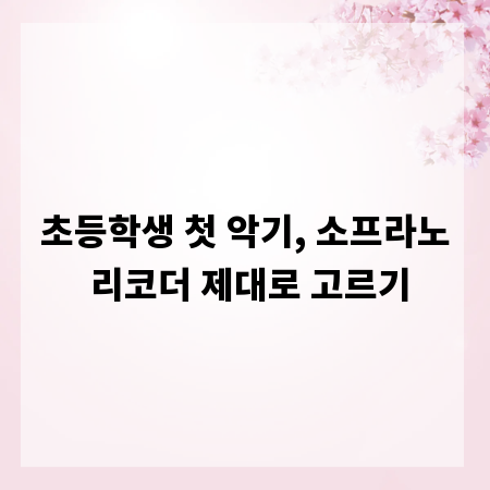 초등학생 첫 악기, 소프라노 리코더 제대로 고르기
