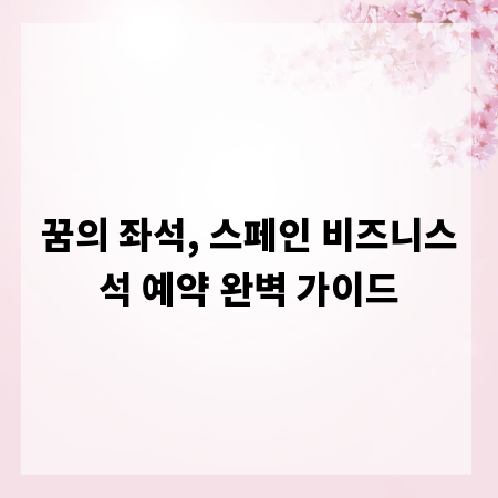 꿈의 좌석, 스페인 비즈니스석 예약 완벽 가이드