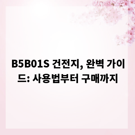 B5B01S 건전지, 완벽 가이드: 사용법부터 구매까지