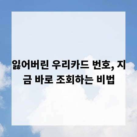 잃어버린 우리카드 번호, 지금 바로 조회하는 비법