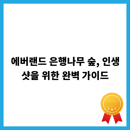 에버랜드 은행나무 숲, 인생샷을 위한 완벽 가이드