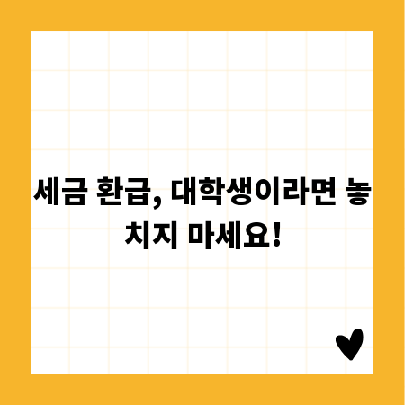 세금 환급, 대학생이라면 놓치지 마세요!