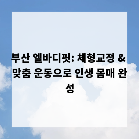 부산 엘바디핏: 체형교정 & 맞춤 운동으로 인생 몸매 완성