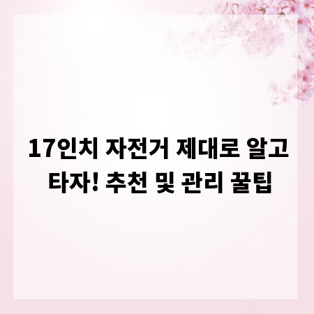 17인치 자전거 제대로 알고 타자! 추천 및 관리 꿀팁