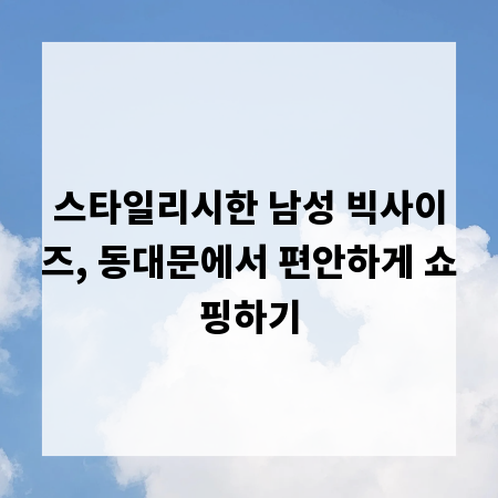 스타일리시한 남성 빅사이즈, 동대문에서 편안하게 쇼핑하기