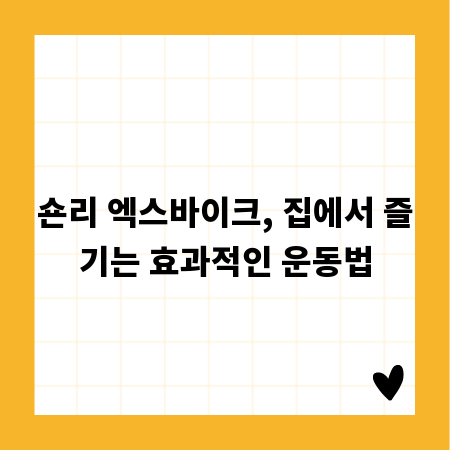 숀리 엑스바이크, 집에서 즐기는 효과적인 운동법