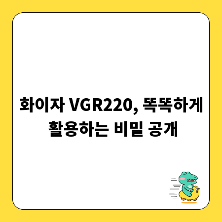 화이자 VGR220, 똑똑하게 활용하는 비밀 공개