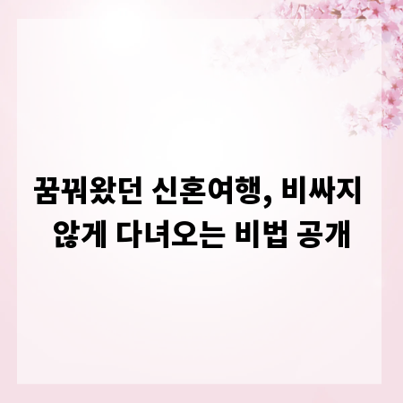 꿈꿔왔던 신혼여행, 비싸지 않게 다녀오는 비법 공개