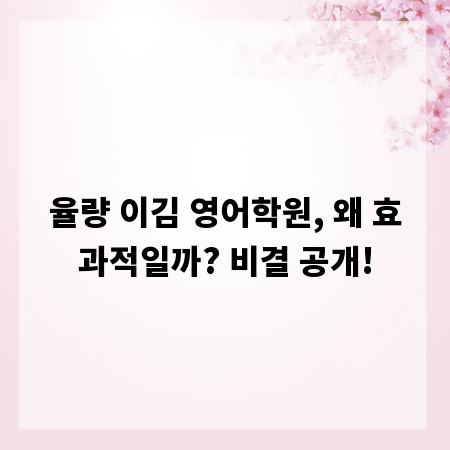 율량 이김 영어학원, 왜 효과적일까? 비결 공개!