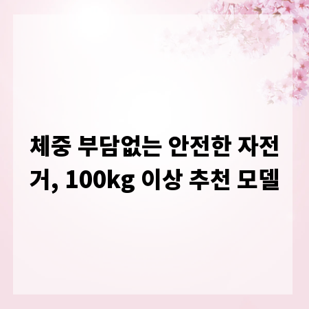 체중 부담없는 안전한 자전거, 100kg 이상 추천 모델