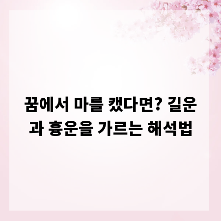 꿈에서 마를 캤다면? 길운과 흉운을 가르는 해석법