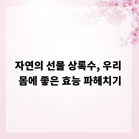자연의 선물 상록수, 우리 몸에 좋은 효능 파헤치기