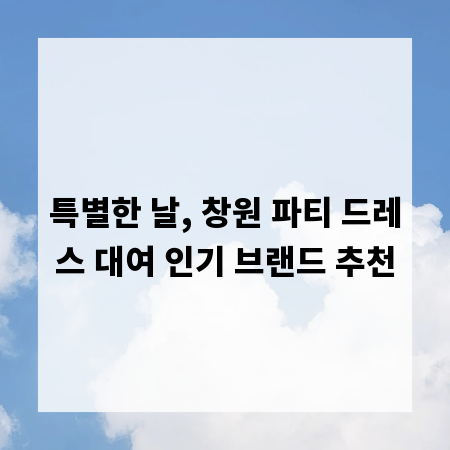 특별한 날, 창원 파티 드레스 대여 인기 브랜드 추천