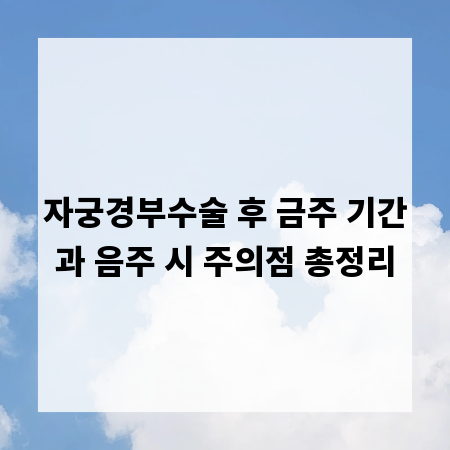 자궁경부수술 후 금주 기간과 음주 시 주의점 총정리