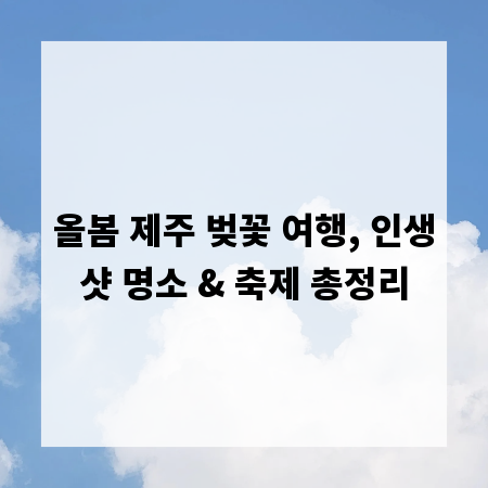 올봄 제주 벚꽃 여행, 인생샷 명소 & 축제 총정리
