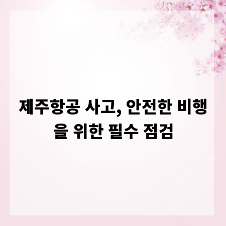 제주항공 사고, 안전한 비행을 위한 필수 점검