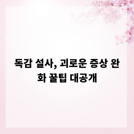 독감 설사, 괴로운 증상 완화 꿀팁 대공개