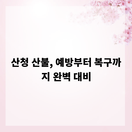 산청 산불, 예방부터 복구까지 완벽 대비