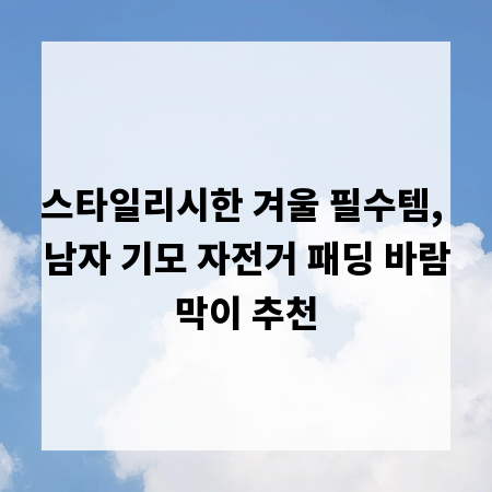 스타일리시한 겨울 필수템, 남자 기모 자전거 패딩 바람막이 추천