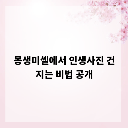 몽생미셸에서 인생사진 건지는 비법 공개