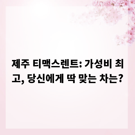 제주 티맥스렌트: 가성비 최고, 당신에게 딱 맞는 차는?