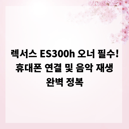 렉서스 ES300h 오너 필수! 휴대폰 연결 및 음악 재생 완벽 정복
