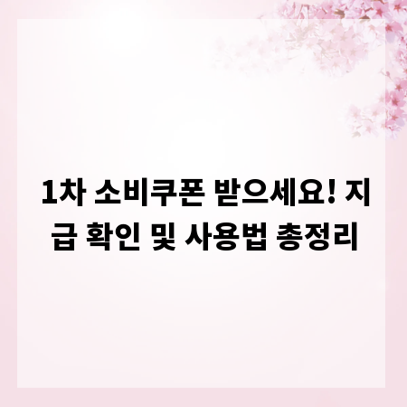 1차 소비쿠폰 받으세요! 지급 확인 및 사용법 총정리