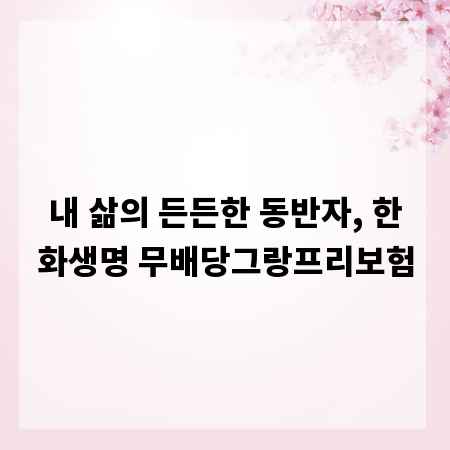 내 삶의 든든한 동반자, 한화생명 무배당그랑프리보험