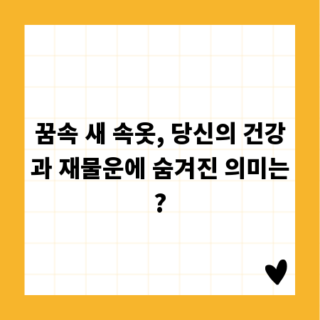 꿈속 새 속옷, 당신의 건강과 재물운에 숨겨진 의미는?
