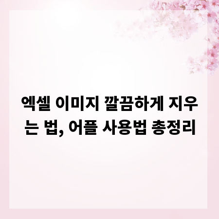 엑셀 이미지 깔끔하게 지우는 법, 어플 사용법 총정리