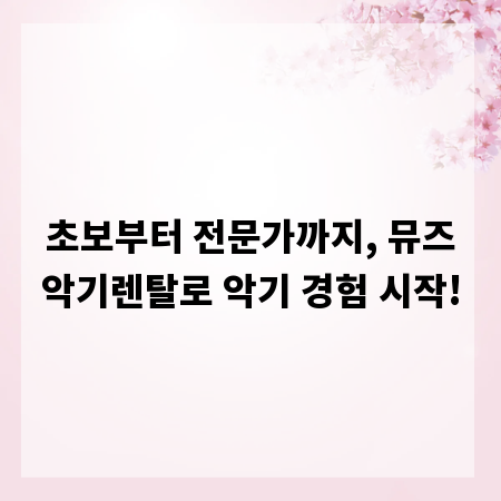 초보부터 전문가까지, 뮤즈악기렌탈로 악기 경험 시작!