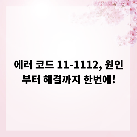 에러 코드 11-1112, 원인부터 해결까지 한번에!
