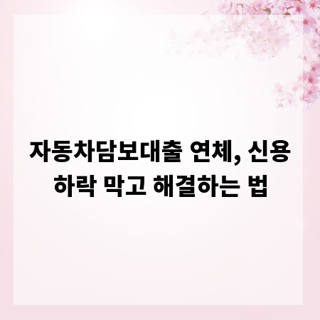 자동차담보대출 연체, 신용하락 막고 해결하는 법