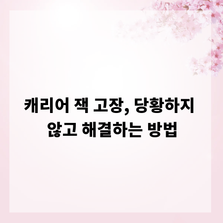 캐리어 잭 고장, 당황하지 않고 해결하는 방법