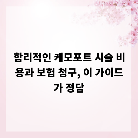 합리적인 케모포트 시술 비용과 보험 청구, 이 가이드가 정답