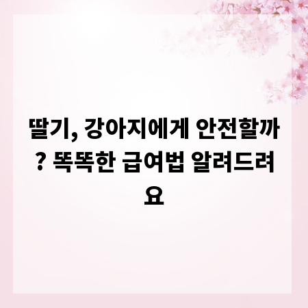 딸기, 강아지에게 안전할까? 똑똑한 급여법 알려드려요