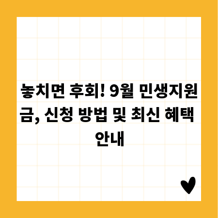 놓치면 후회! 9월 민생지원금, 신청 방법 및 최신 혜택 안내