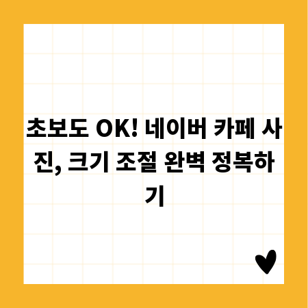 초보도 OK! 네이버 카페 사진, 크기 조절 완벽 정복하기