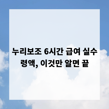 누리보조 6시간 급여 실수령액, 이것만 알면 끝